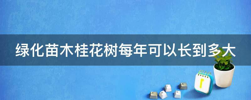 绿化苗木桂花树每年可以长到多大（桂花树苗一年能长多高）