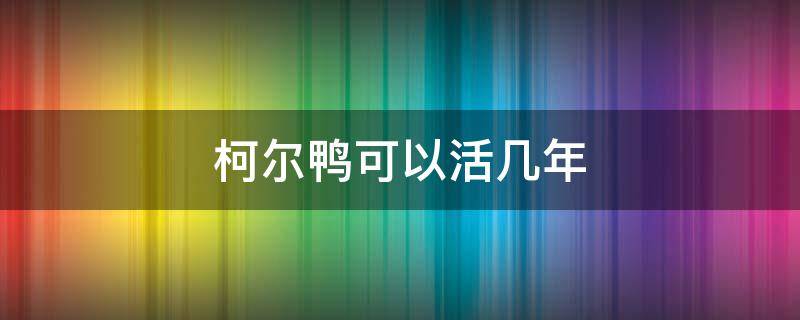 柯尔鸭可以活几年 柯尔鸭养多久成年