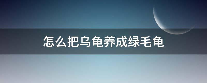 怎么把乌龟养成绿毛龟（怎么把乌龟养成绿毛龟最简单的方法?）