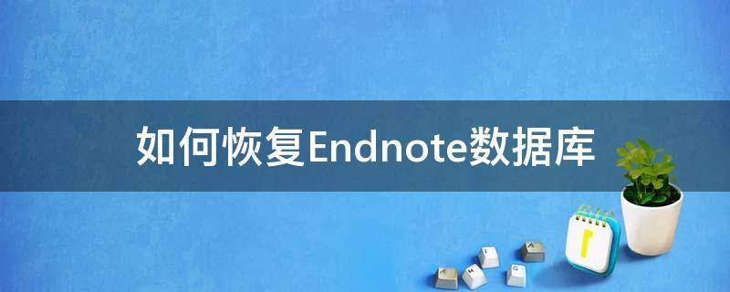 如何恢复Endnote数据库（怎么恢复endnote里的文献）