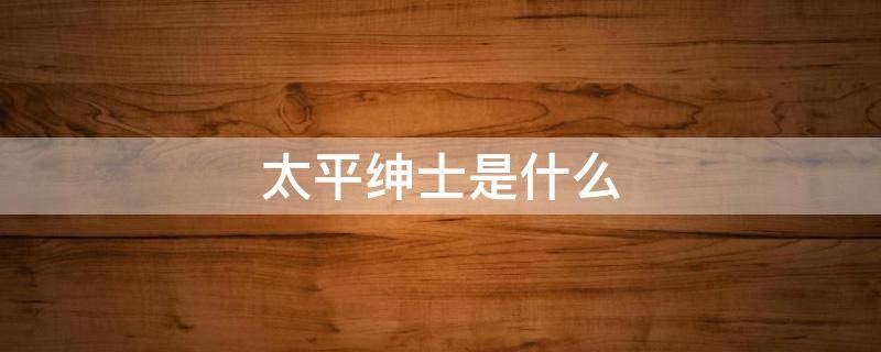 太平绅士是什么（太平绅士是什么官）