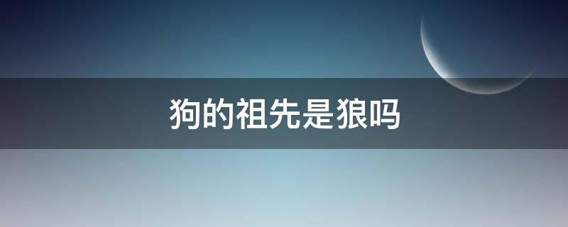 狗的祖先是狼吗 狗和狼的祖先是什么