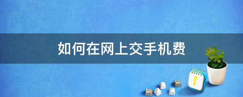 如何在网上交手机费（网上手机交费怎么交）