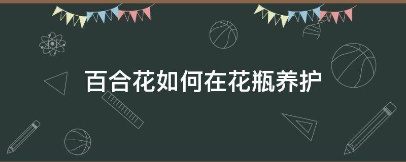 百合花如何在花瓶养护（百合花用花瓶怎么养）