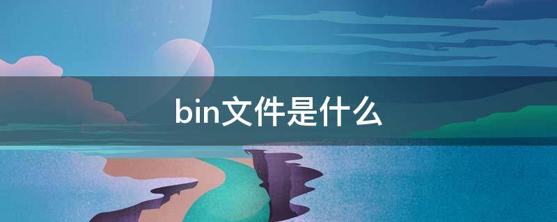 .bin文件是什么（bin文件是什么意思）