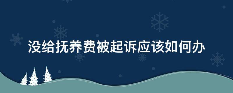 没给抚养费被起诉应该如何办（抚养费没给怎么起诉）