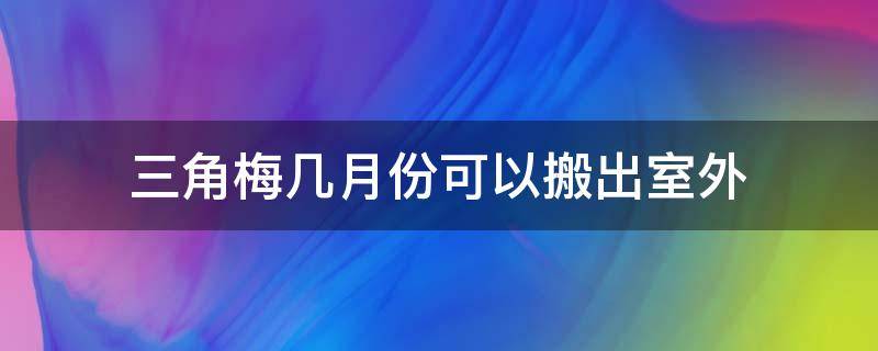 三角梅几月份可以搬出室外（三角梅何时搬到室内）