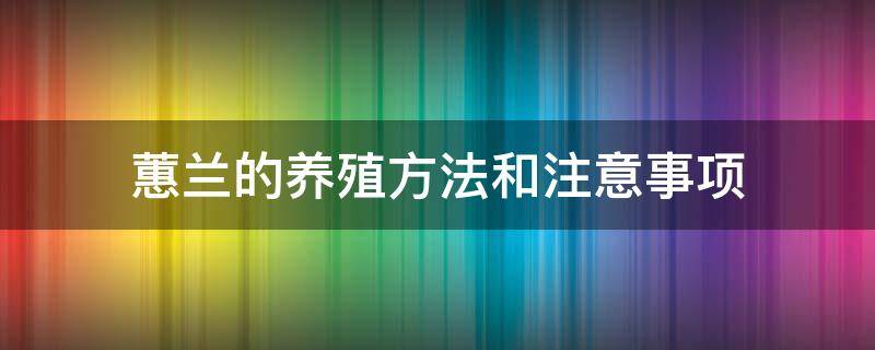 蕙兰的养殖方法和注意事项（下山蕙兰的养殖方法和注意事项）