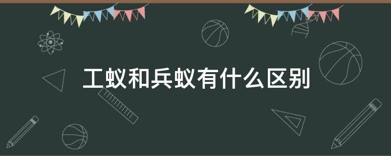 工蚁和兵蚁有什么区别（工蚁与兵蚁区别）