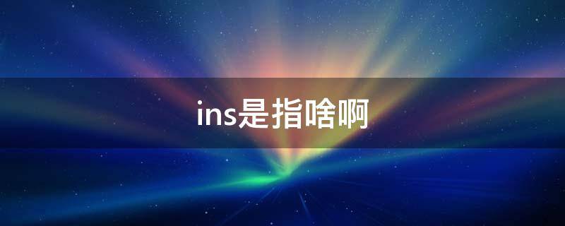 ins是指啥啊 ins是指什么意思