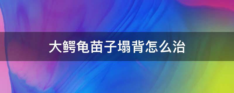 大鳄龟苗子塌背怎么治（大鳄苗子塌背怎么办）