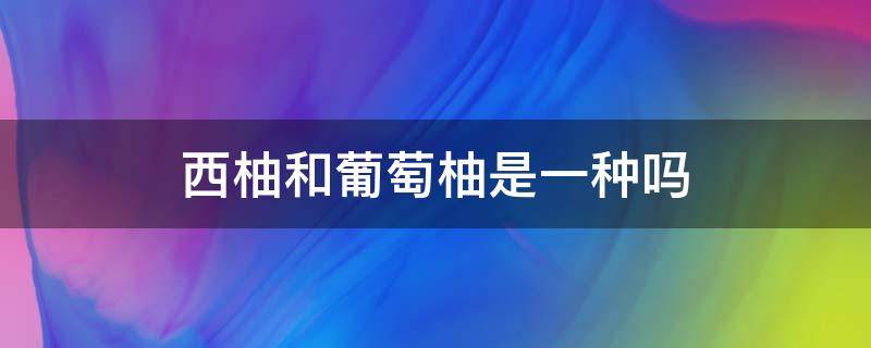 西柚和葡萄柚是一种吗（葡萄柚是西柚的区别）