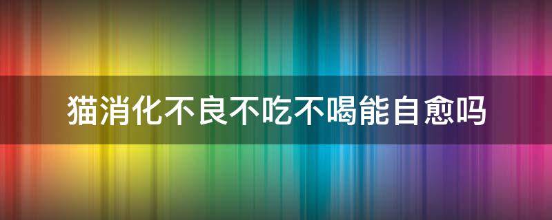 猫消化不良不吃不喝能自愈吗（猫消化不良没精神不吃饭会自愈吗）