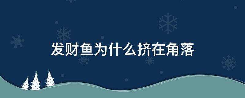 发财鱼为什么挤在角落（发财鱼为什么都游在上面）