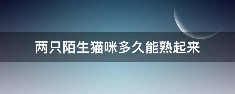 两只陌生猫咪多久能熟起来 两个陌生的猫咪多久才相处好