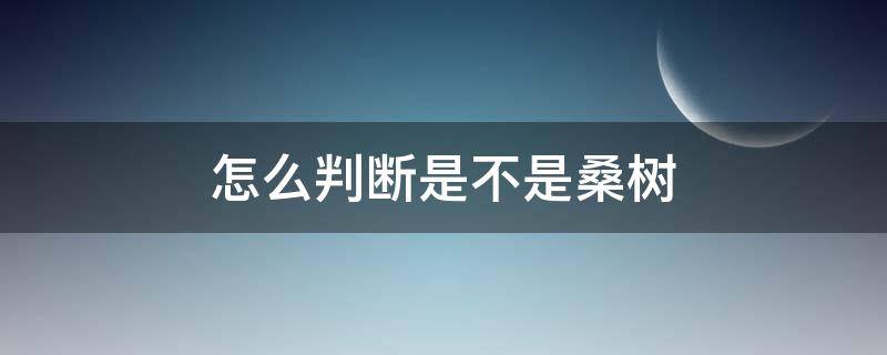 怎么判断是不是桑树（如何分辨桑树叶）