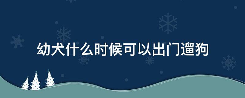 幼犬什么时候可以出门遛狗（幼犬什么时候可以出去遛）