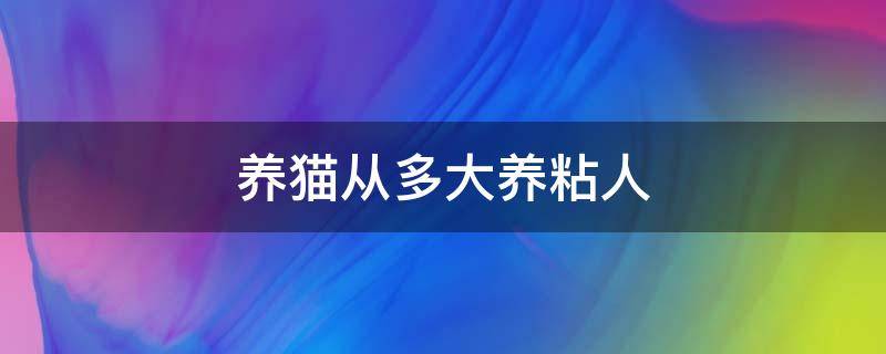 养猫从多大养粘人 猫养多久粘人