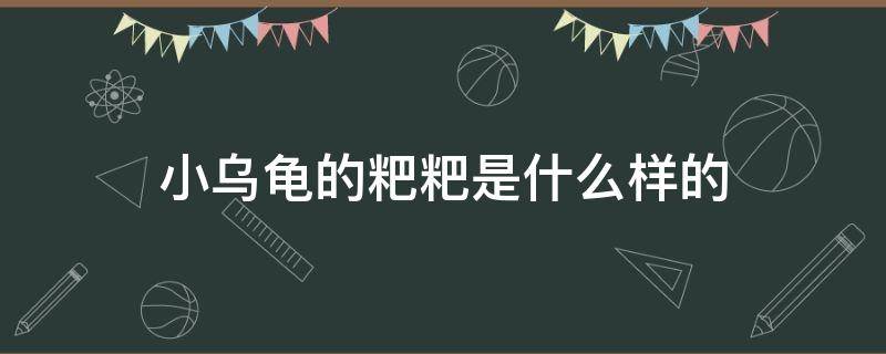 小乌龟的粑粑是什么样的 小乌龟拉屎是什么样的