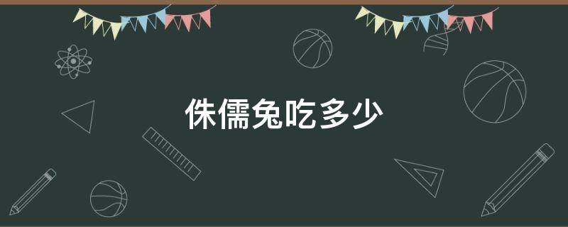 侏儒兔吃多少 侏儒兔吃多少东西