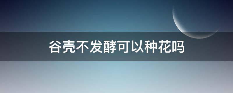 谷壳不发酵可以种花吗（谷壳可以不发酵种兰花吗）
