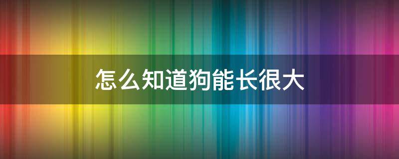怎么知道狗能长很大（怎么看狗会不会长很大）