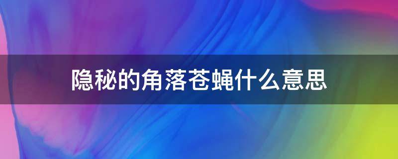 隐秘的角落苍蝇什么意思（隐秘的角落苍蝇是什么意思）