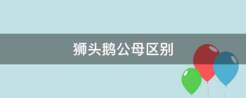 狮头鹅公母区别 狮头鹅大鹅公母区别