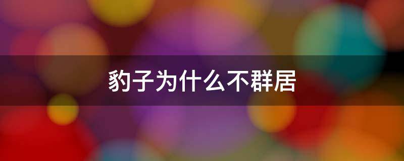 豹子为什么不群居 豹子独居还是群居