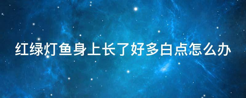 红绿灯鱼身上长了好多白点怎么办（红绿灯鱼身上发白然后就死了）