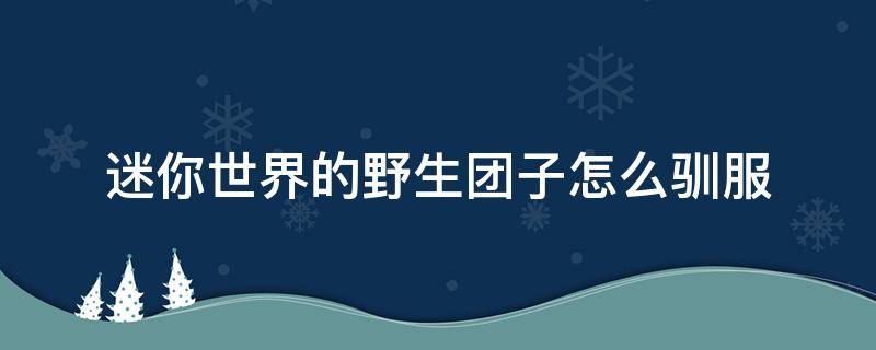 迷你世界的野生团子怎么驯服 迷你世界驯养野生团子