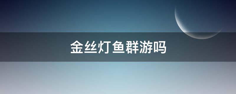 金丝灯鱼群游吗 哪些灯鱼群游