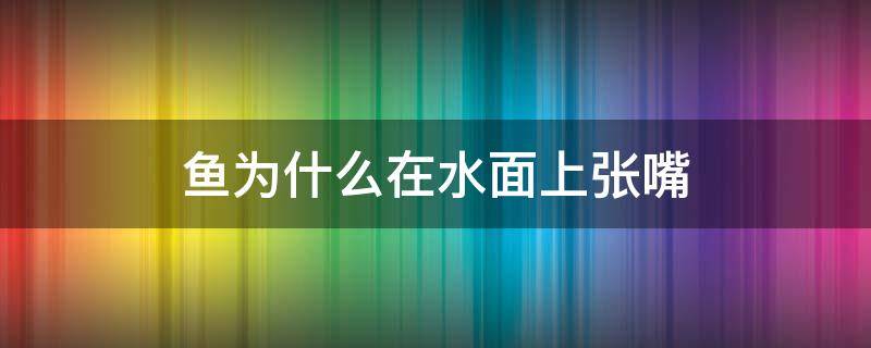 鱼为什么在水面上张嘴 鱼为什么在水面上张嘴吸气