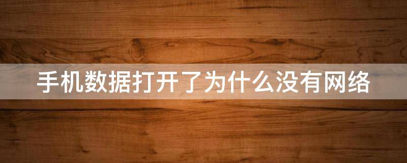 手机数据打开了为什么没有网络（手机数据打开了为什么没有网络信号）