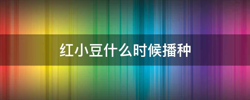 红小豆什么时候播种（红小豆什么时候播种?如何播种?）