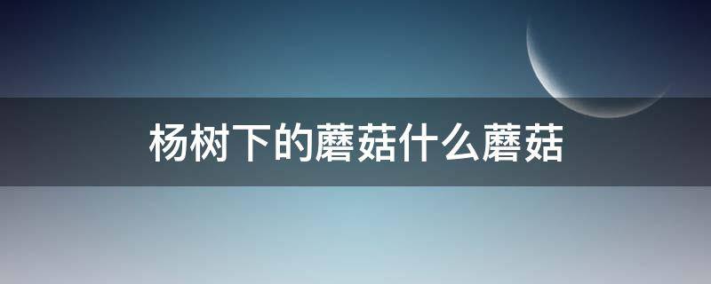 杨树下的蘑菇什么蘑菇（杨树下的蘑菇是什么蘑菇）