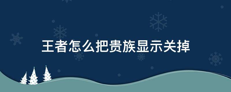 王者怎么把贵族显示关掉 如何把王者贵族显示关了