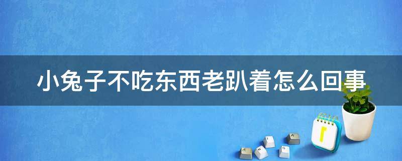 小兔子不吃东西老趴着怎么回事（兔子临死前的8个征兆）