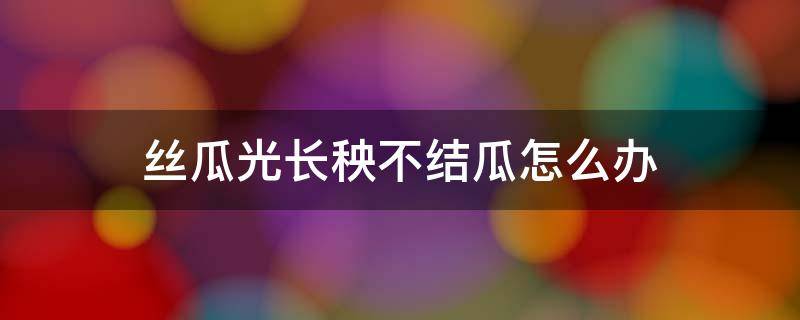 丝瓜光长秧不结瓜怎么办 丝瓜光长藤不结瓜怎么办