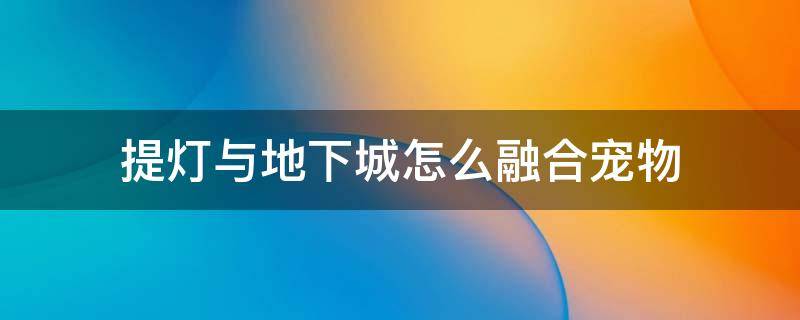 提灯与地下城怎么融合宠物 提灯与地下城怎么融合宠物6格技能