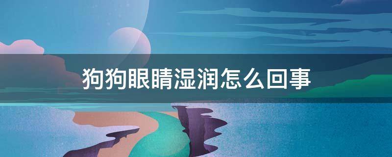 狗狗眼睛湿润怎么回事（狗眼睛湿润是怎么回事）