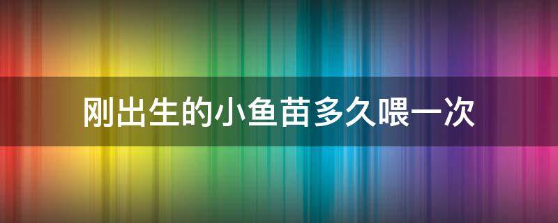 刚出生的小鱼苗多久喂一次 小鱼苗几个小时喂一次