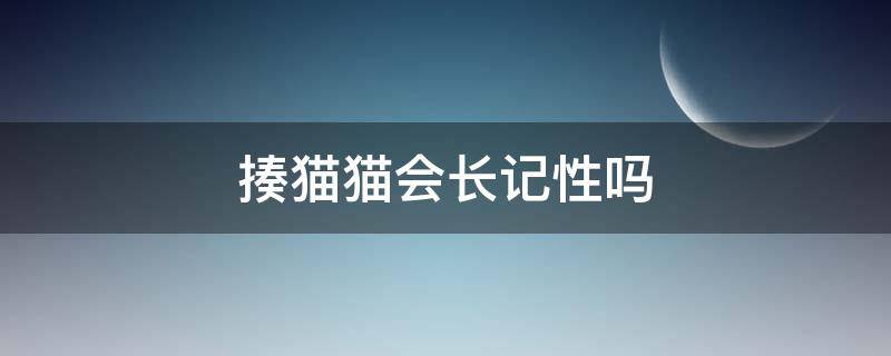 揍猫猫会长记性吗 猫挨揍了会记仇吗