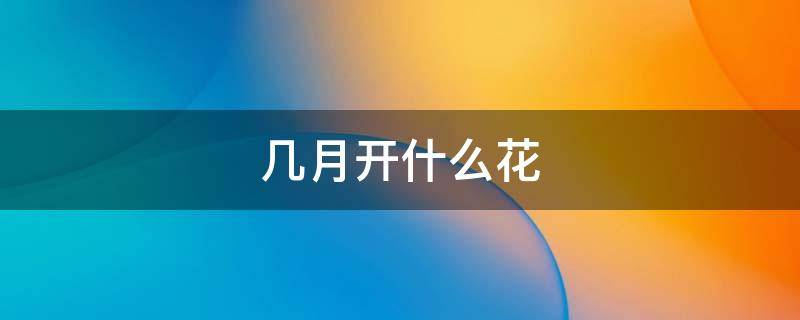 几月开什么花（几月开什么花的童谣）