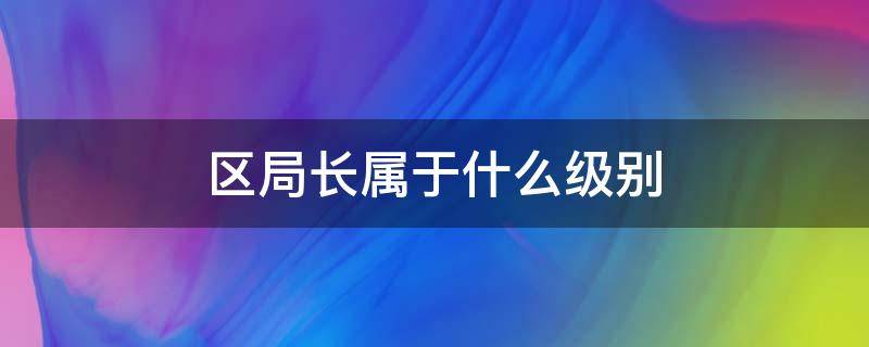 区局长属于什么级别（省会区局长属于什么级别）