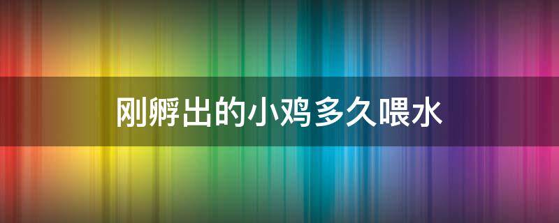 刚孵出的小鸡多久喂水（刚孵出的小鸡多久开始喂水?喂食?）