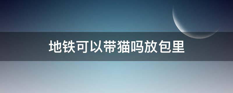 地铁可以带猫吗放包里 猫放包里能不能上地铁