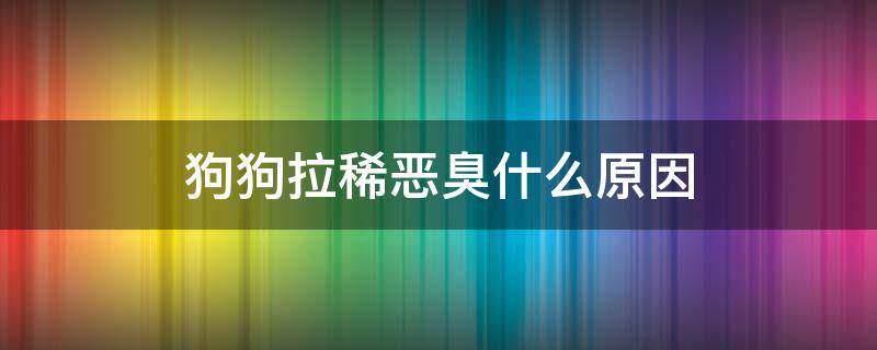 狗狗拉稀恶臭什么原因 狗狗拉稀恶臭味