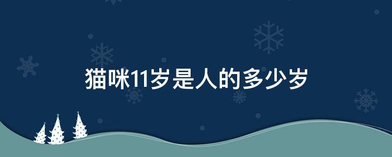 猫咪11岁是人的多少岁 猫11岁是几个月