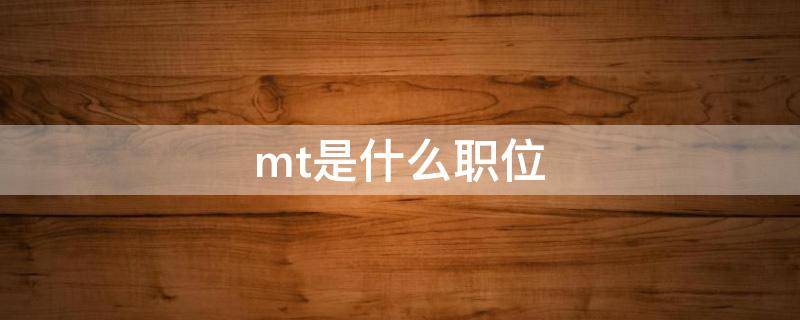 mt是什么职位 游戏mt是什么职位